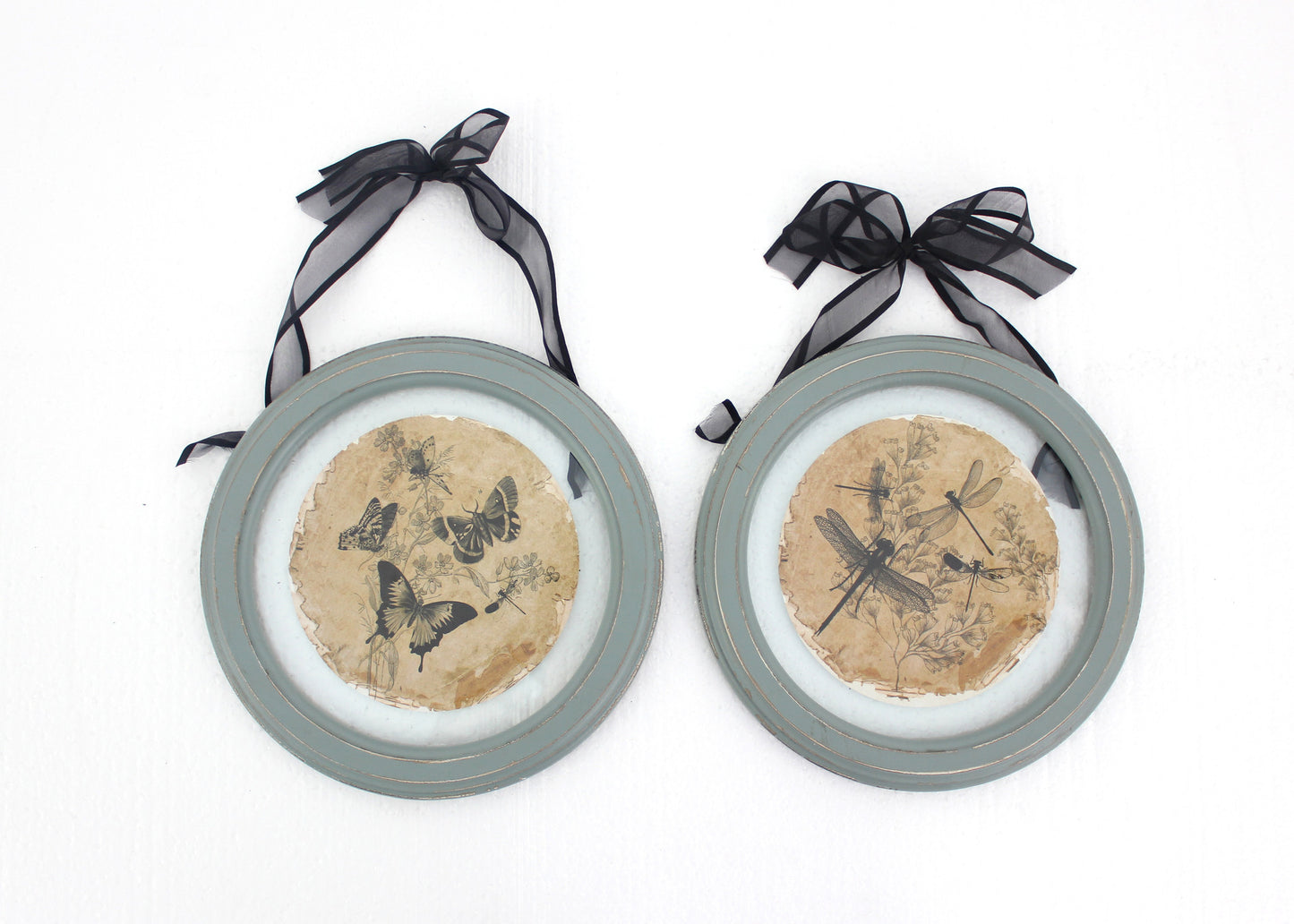 Screen Gems Plate Wall Decor - Set of 2 - WD-088 | Wall Decor | Modishstore