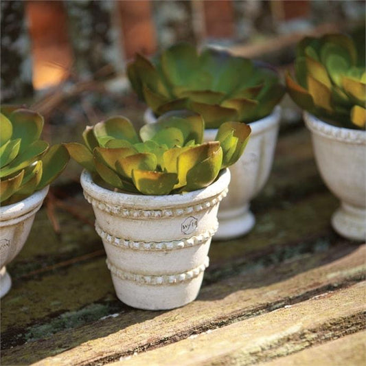 Wakefield Handmade Mini Pots By Napa Home & Garden | Outdoor Planters, Troughs & Cachepots | Modishstore