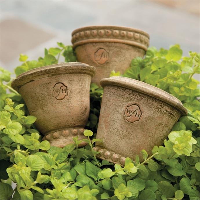 Wakefield Handmade Mini Pots By Napa Home & Garden | Outdoor Planters, Troughs & Cachepots | Modishstore - 7