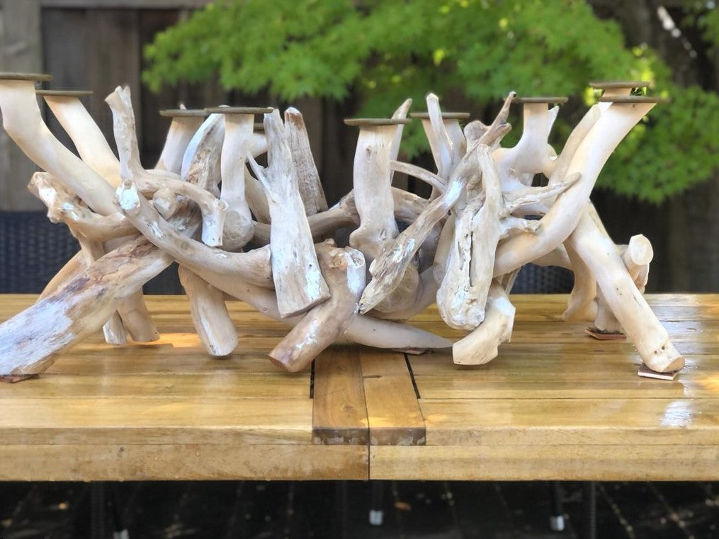 Driftwood 10 Candle Candelabra, Horizontal, White, Bleached by Artisan Living | Candelabra | Modishstore-7
