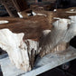 Teak Root Table Base- 62in x 37in x19.6 in | Coffee Tables Base | Modishstore