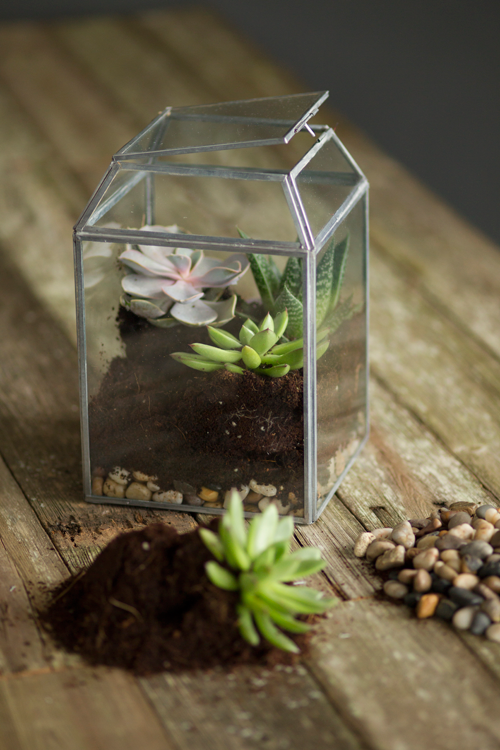 Vagabond Vintage Small Zinc and Glass Terrarium | Modishstore | Glass Terrariums