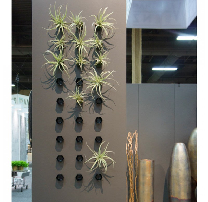 beehive hanging plant Gold Leaf Design Group Beehive Wall Play - Black (Set of 20)