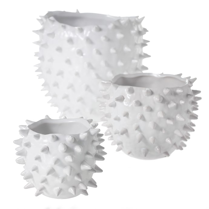 Cacti Pot Set of 8 By Accent Decor | Planters, Troughs & Cachepots | Modishstore - 10