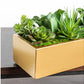 Desert Echeveria in Linear Planter by Gold Leaf Design Group | Planters, Troughs & Cachepots | Modishstore-5