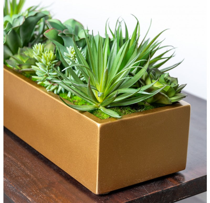 Desert Echeveria in Linear Planter by Gold Leaf Design Group | Planters, Troughs & Cachepots | Modishstore - 6