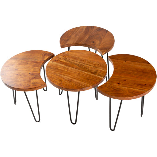 Surya Table Set - EEE-002 | Nesting Tables | Modishstore-4