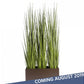 Grass: Potted Century Grass in Linear Planter, 38"OL by Gold Leaf Design Group | Planters, Troughs & Cachepots | Modishstore-2