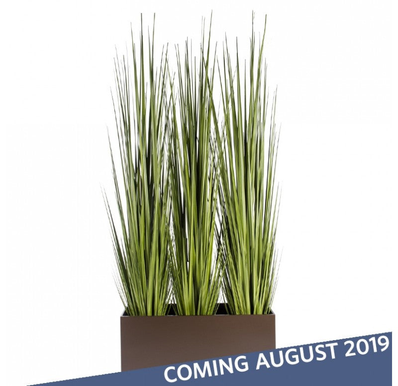 Grass: Potted Century Grass in Linear Planter, 38"OL by Gold Leaf Design Group | Planters, Troughs & Cachepots | Modishstore-2