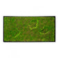 Green Wall, New Moss with Open Pools by Gold Leaf Design Group | Green Wall | Modishstore