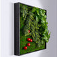 Gold Leaf Design Group Green Wall, Mix with Fig Wall Play | Green Wall | Modishstore-4
