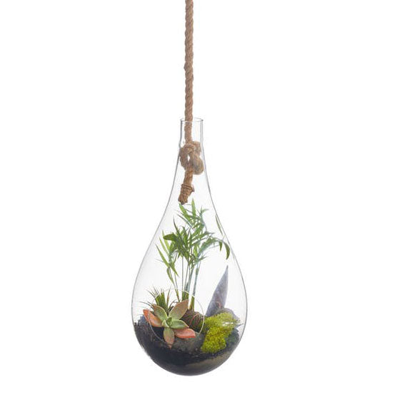 Boboli Hngng Terrarium by Texture Designideas | Glass Terrariums | Modishstore-4