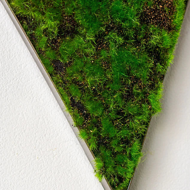Intersect Wall Art W/Moss Shap By Gold Leaf Design Group | Green Wall | Modishstore - 5