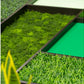 Green Wall, 'Mondrian by Gold Leaf Design Group | Green Wall | Modishstore-3