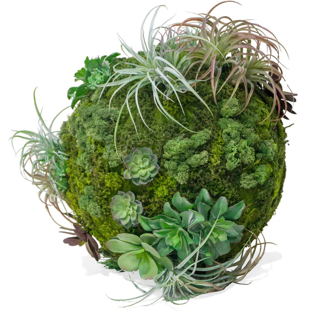 California Mix Moss Sphere By Gold Leaf Design Group | Botanicals | Modishstore - 4