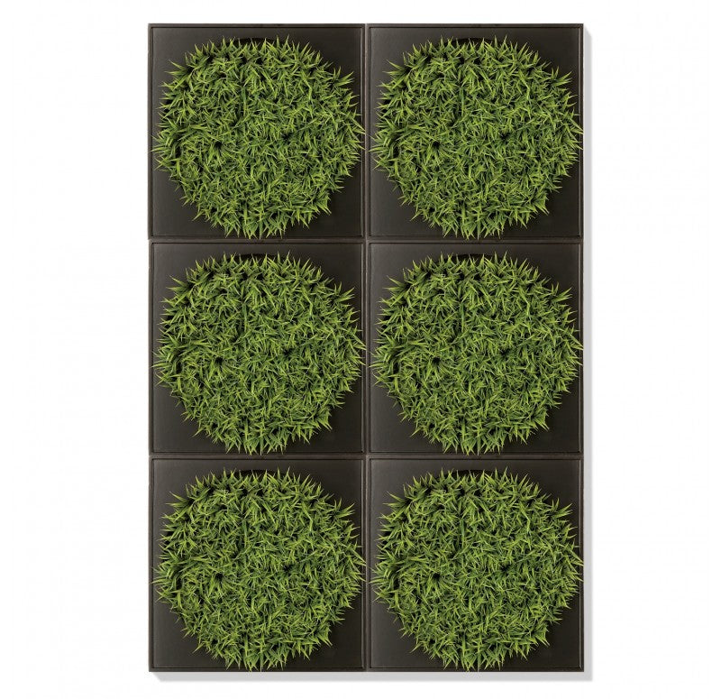 Mini Green Wall, Curly Grass by Gold Leaf Design Group | Green Wall | Modishstore-2