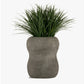 Grass: Liriope in Naoshima Planter, SM by Gold Leaf Design Group | Planters, Troughs & Cachepots | Modishstore
