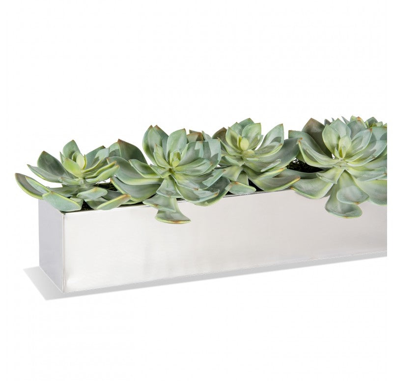 Stainless Steel Table Planter, Ghost Grapto by Gold Leaf Design Group | Planters, Troughs & Cachepots | Modishstore - 2