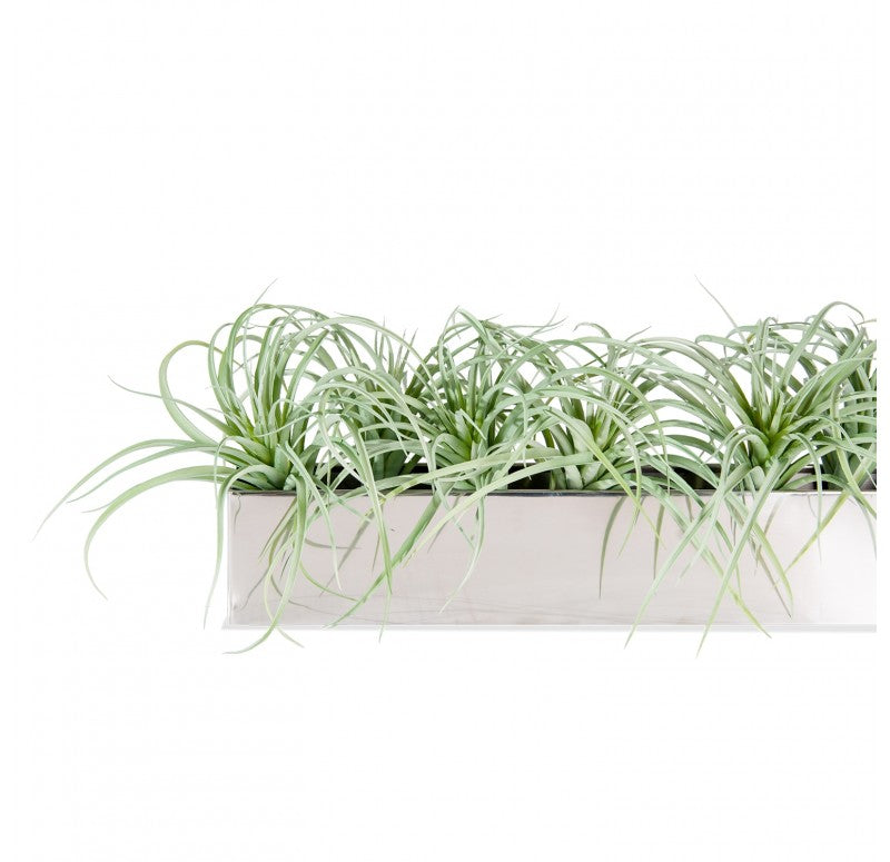 Stainless Steel Table Planter, Grey Tillandsia by Gold Leaf Design Group | Planters, Troughs & Cachepots | Modishstore - 2