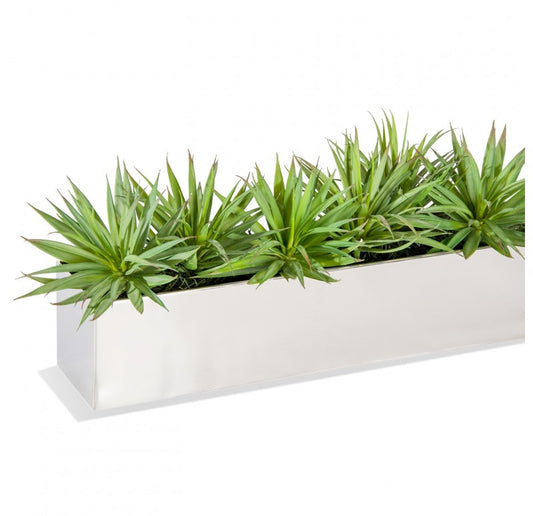 Stainless Steel Table Planter, Mini Yucca by Gold Leaf Design Group | Planters, Troughs & Cachepots | Modishstore