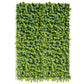 Green Wall, Sedum Album, 28"W by by Gold Leaf Design Group | Green Wall | Modishstore