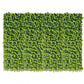 Green Wall, Sedum Album, 28"W by by Gold Leaf Design Group | Green Wall | Modishstore-2