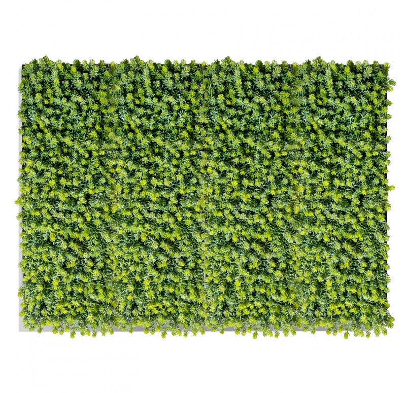 Green Wall, Sedum Album, 28"W by by Gold Leaf Design Group | Green Wall | Modishstore-2
