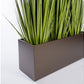 Grass: Potted Century Grass in Linear Planter, 38"OL by Gold Leaf Design Group | Planters, Troughs & Cachepots | Modishstore-3