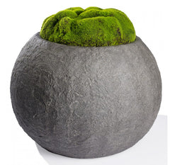 Moss Mound in Piedra Planter, LG by Gold Leaf Design Group
