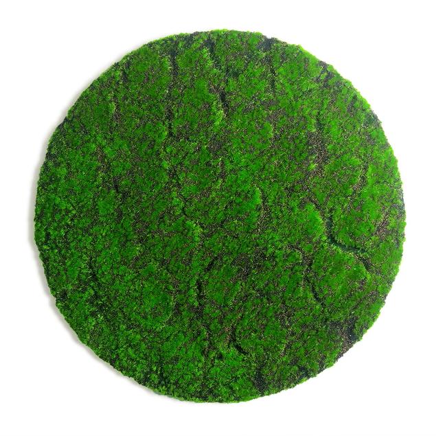 Green Wall, 'New Moss', Disc by Gold Leaf Design Group | Green Wall | Modishstore - 6