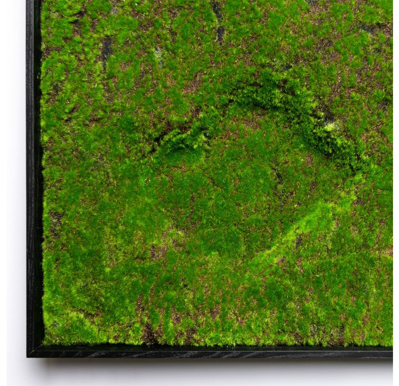 Green Wall, New Moss with Open Pools by Gold Leaf Design Group | Green Wall | Modishstore - 5