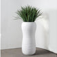 Grass: Liriope in Naoshima Planter by Gold Leaf Design Group | Outdoor Planters, Troughs & Cachepots | Modishstore