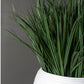 Grass: Liriope in Naoshima Planter by Gold Leaf Design Group | Outdoor Planters, Troughs & Cachepots | Modishstore-2