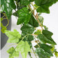 Ivy in Puddle Planter by Gold Leaf Design Group | Outdoor Planters, Troughs & Cachepots | Modishstore-3