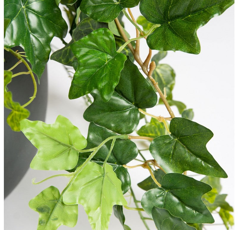 Ivy in Puddle Planter by Gold Leaf Design Group | Outdoor Planters, Troughs & Cachepots | Modishstore - 3
