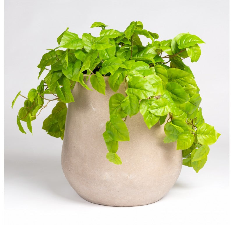 planter philodendron Philodendron in Urbano Bell Planter by Gold Leaf Design Group – Modish Store