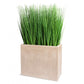 Grass: Outdoor in Urbano Rectangle by Gold Leaf Design Group | Planters, Troughs & Cachepots | Modishstore