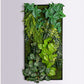 Gold Leaf Design Group Green Wall, Lime Philodendron Mix | Green Wall | Modishstore
