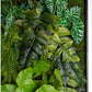 Gold Leaf Design Group Green Wall, Lime Philodendron Mix | Green Wall | Modishstore-5