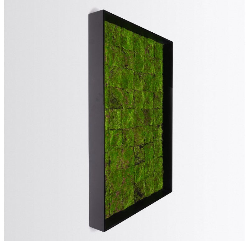 Gold Leaf Design Group Green Wall, New Moss Patch | Green Wall | Modishstore - 4