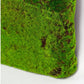 Gold Leaf Design Group Green Wall, ˜New Moss Flat | Green Wall | Modishstore-2