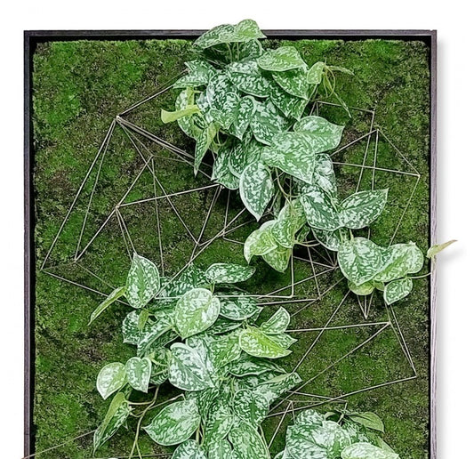 Gold Leaf Design Group Green Wall, Wire Crystals & Scindapsus | Green Wall | Modishstore