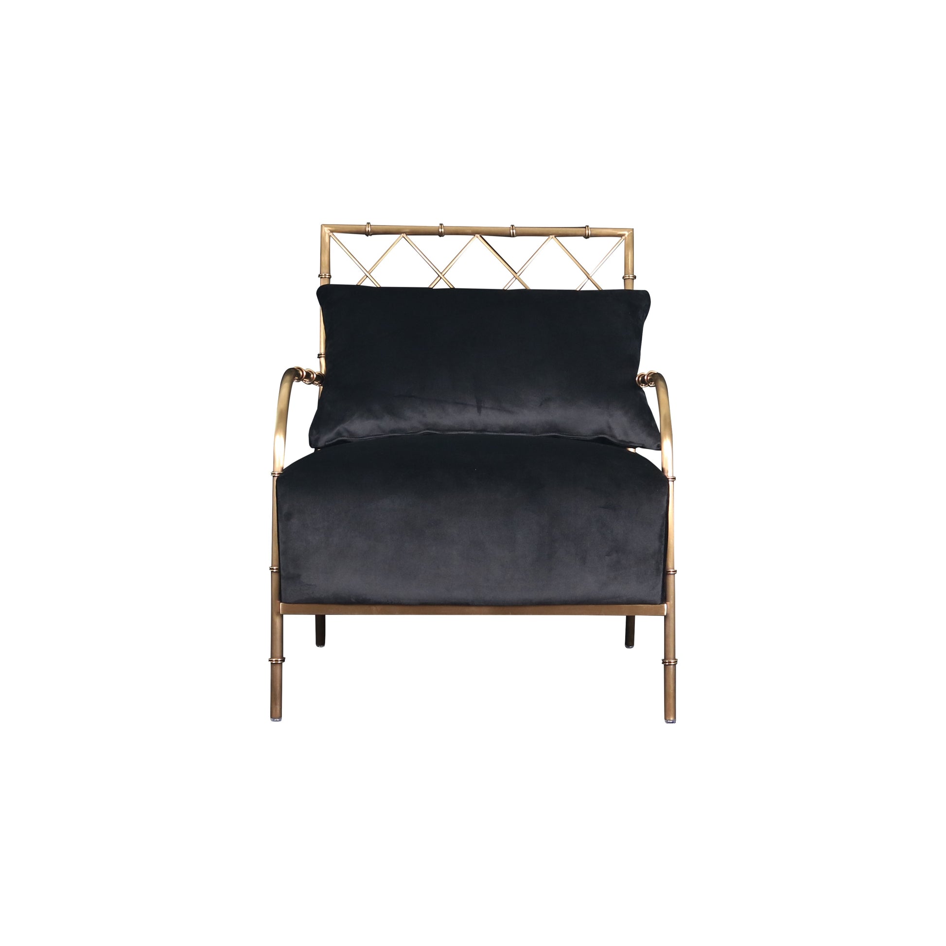 Divani Casa Ignacio - Glam Black Velvet & Gold Accent Chair-2