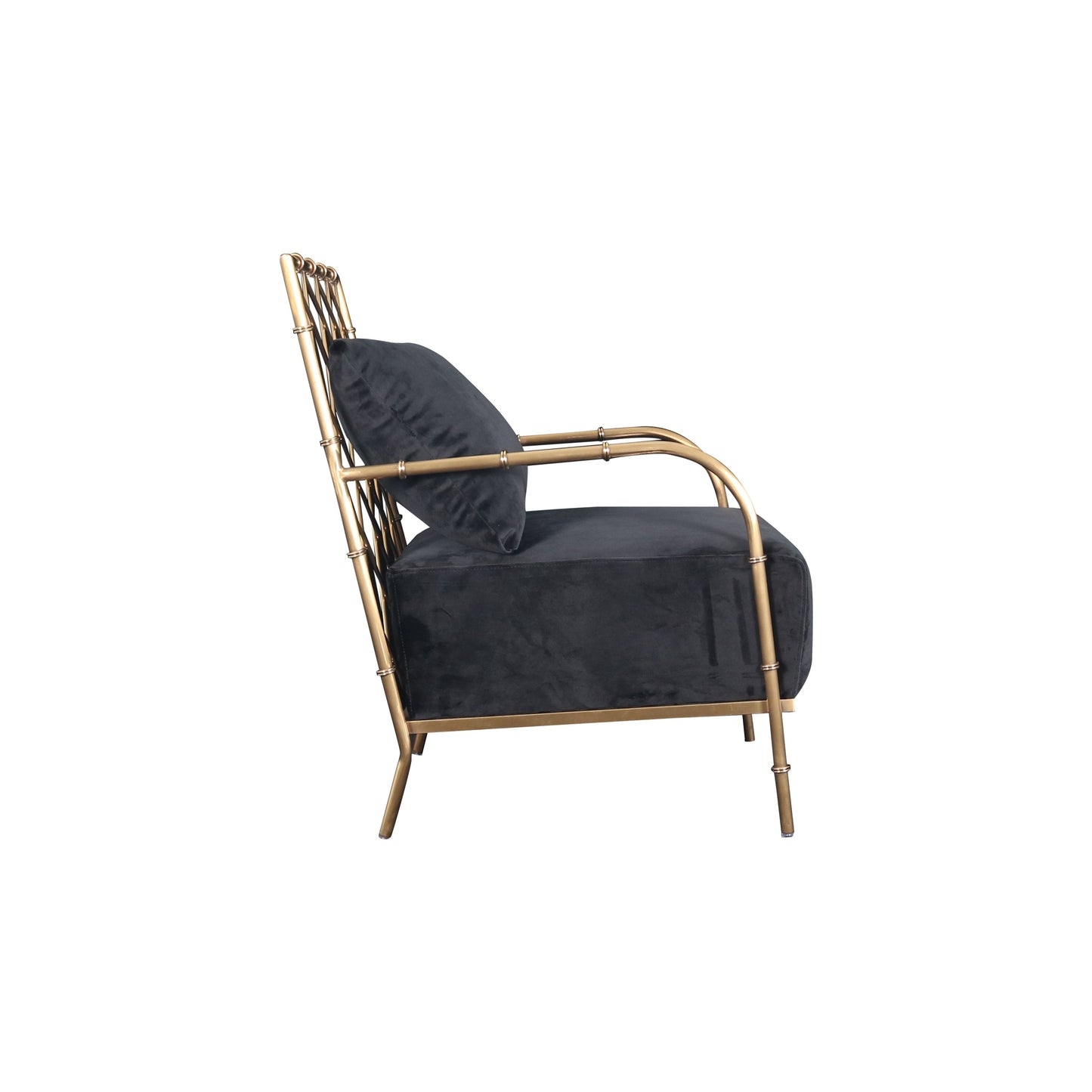Divani Casa Ignacio - Glam Black Velvet & Gold Accent Chair-3