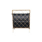 Divani Casa Ignacio - Glam Black Velvet & Gold Accent Chair-4