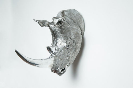 Interior Illusions Plus Silver Rhino Head Taxidermy - 18" long | Trophy Head | Modishstore