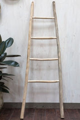 Kanu Ladder By Accent Decor