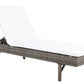Safavieh Cam Sunlounger | Outdoor Recliners & Lounge Chairs |  Modishstore  - 2