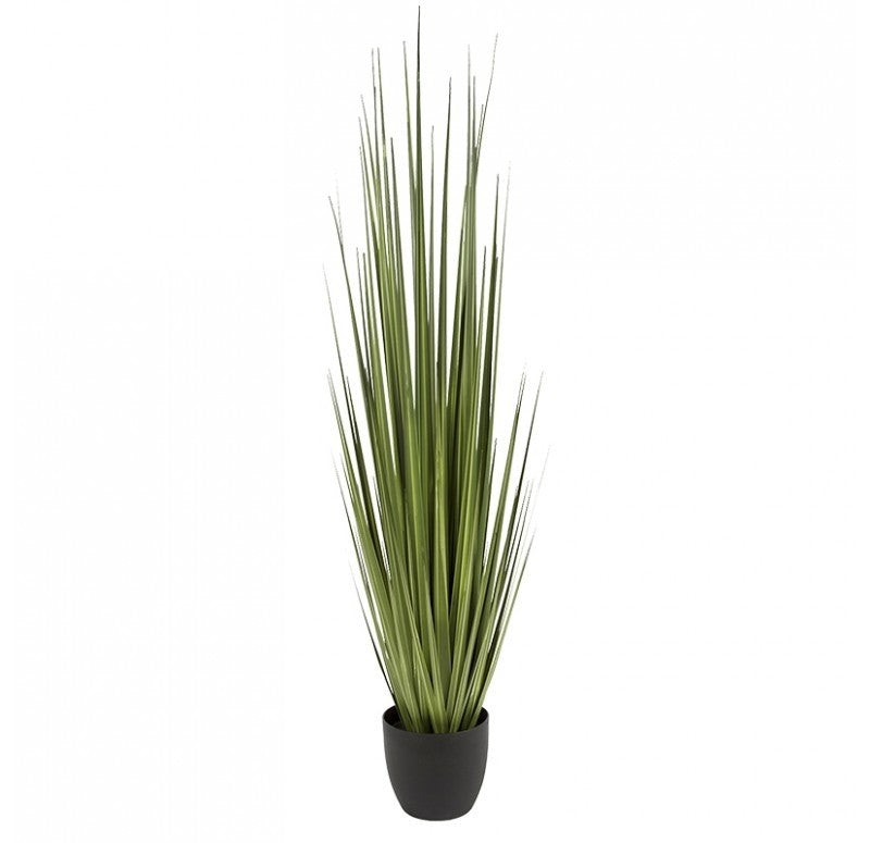 Potted Century Grass in Linear Planter, 64"OL by Gold Leaf Design Group | Planters, Troughs & Cachepots | Modishstore