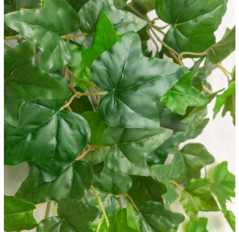 Ivy Bushes, Outdoor by Set of3 Gold Leaf Design Group - Set of 3 | Planters, Troughs & Cachepots | Modishstore - 2